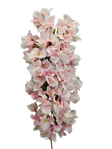 تاکی جەهەنەمی پەمبە