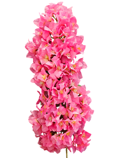 تاکی جەهەنەمی هەناری