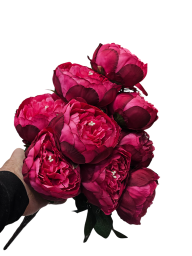 پیۆنی هەناری