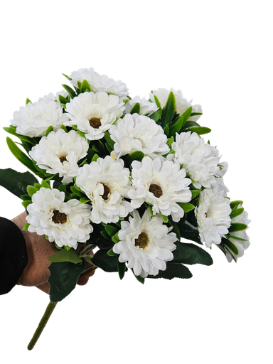 دەیزی ئۆفوات