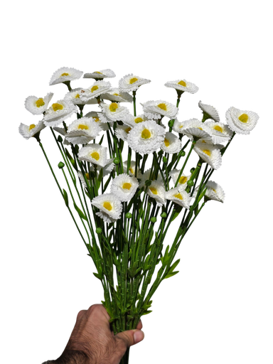 دەیزی تاک