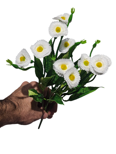 دەیزی 