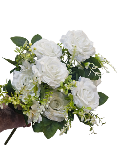 گوڵی سپی رۆز