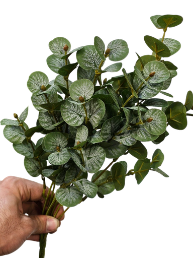 کالیپتۆس