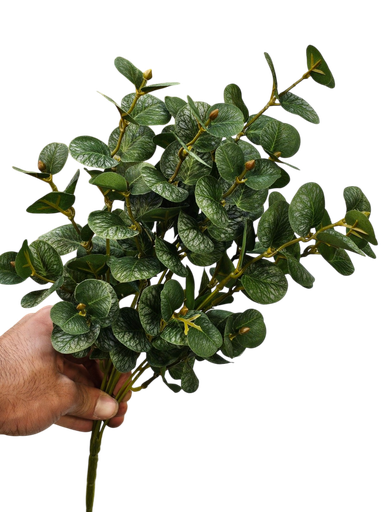 کالیپتۆس