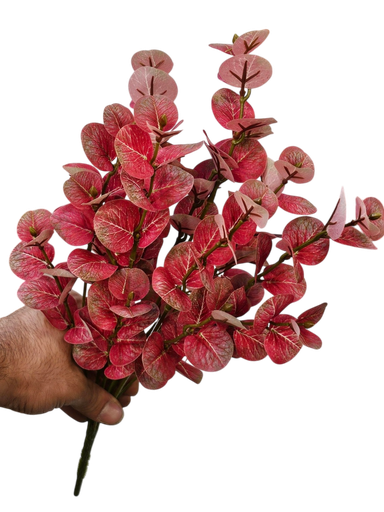 کالیپتۆس
