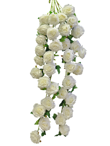 ڕۆزی شۆر سپی
