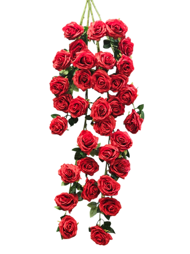 ڕۆزی شۆر سور