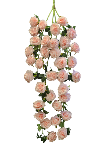 ڕۆزی شۆر پەمبە