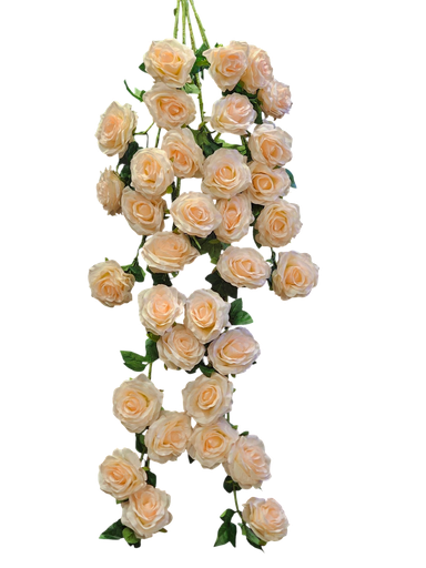 ڕۆزی شۆر کرێمی