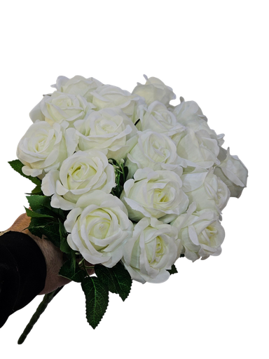 چەپکی رۆزی سپی