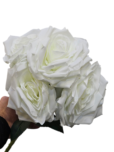 رۆزی سپی 