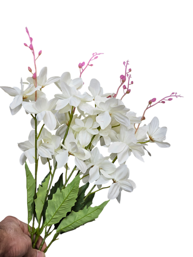 چەپکی ئۆفوایت