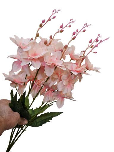 چەپکی پەمبە