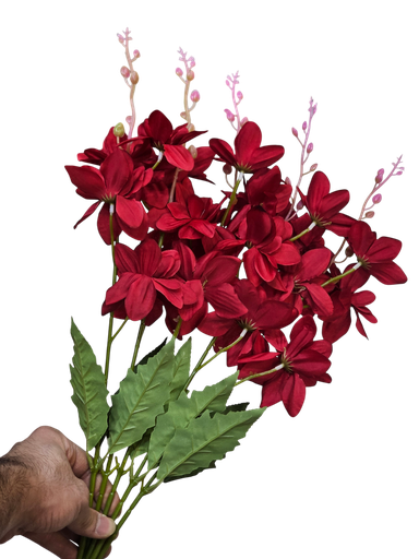 چەپکی سۆر