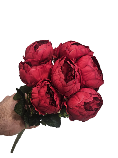 پیۆنی چەپکی سور