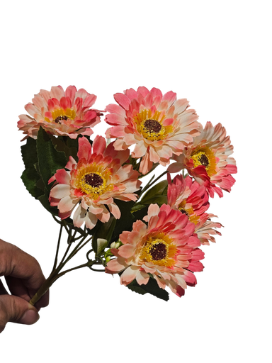 دەیزی مشکل