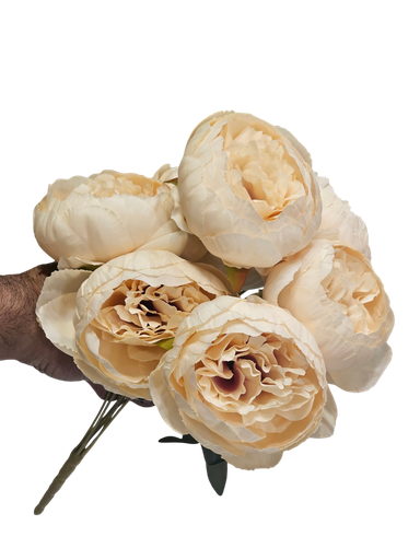 پیۆنی کرێم