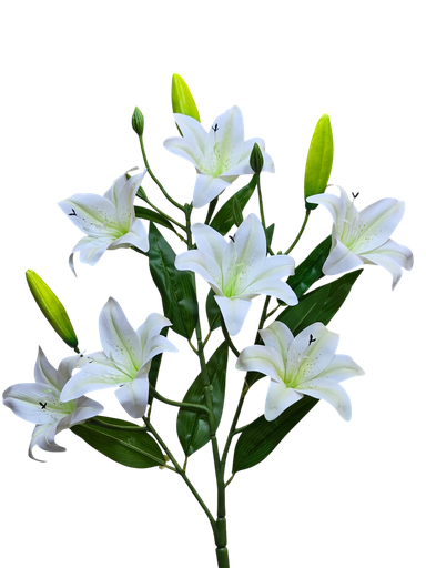 ئۆریێنتال چەپک