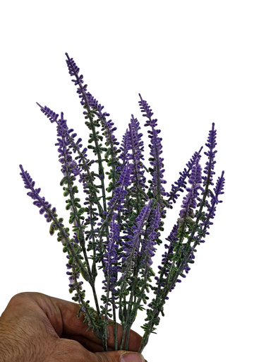 لاڤینفەر