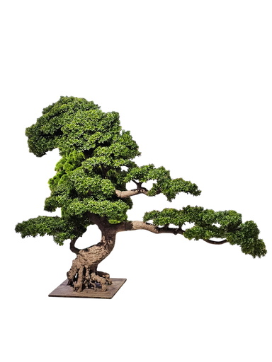 Bonsai tree