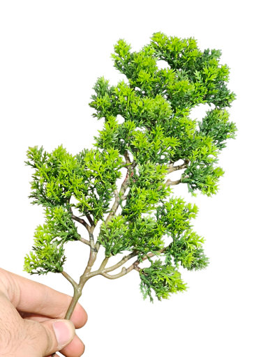 حضار شجرە بونسای