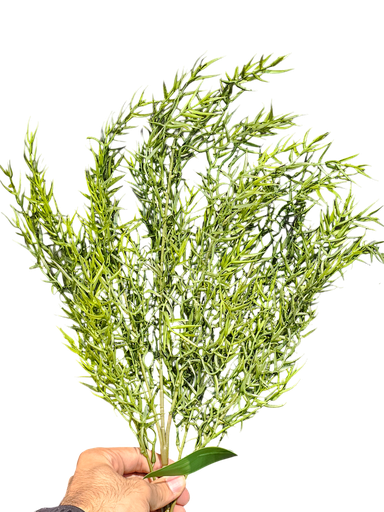 چەپکی سەوز