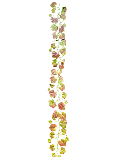 پەلکی مێو 1.5 مەتر