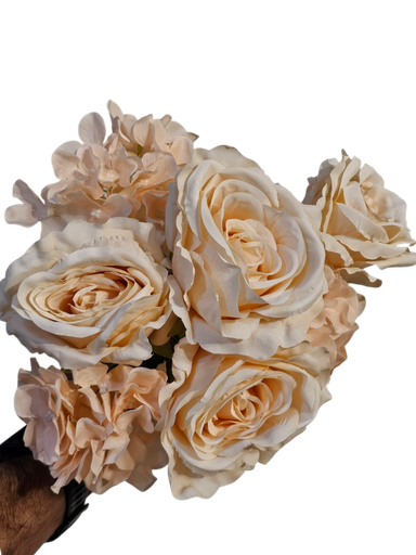 گوڵی کرێمی