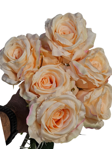 orange rose