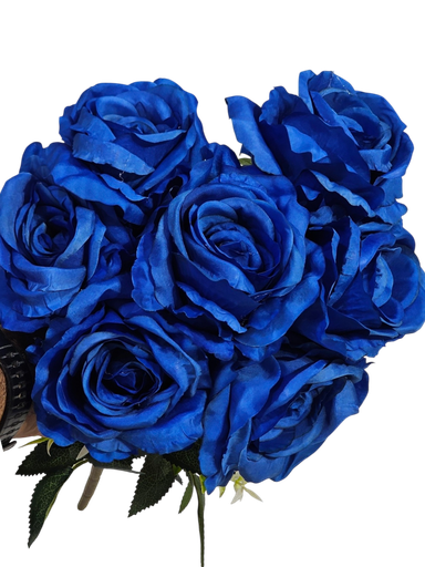 رۆزی شین