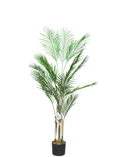 دار 130 سانتیم