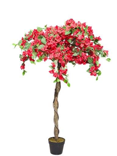 دار جهنمی 120 سانتیم
