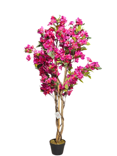 دار جهنمی 150 سانتیم
