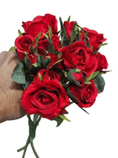 گوڵی سور