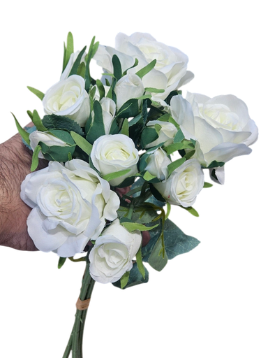 گوڵی سپی