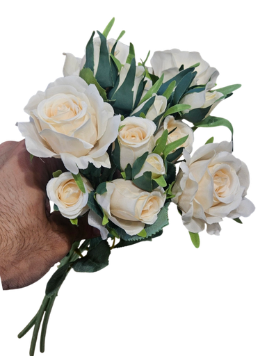 گوڵی ئۆفایت