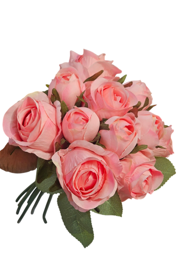 گوڵی پەمبە