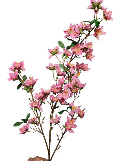 تاکی پەمبە