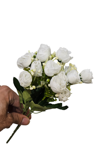 Mini White Rose