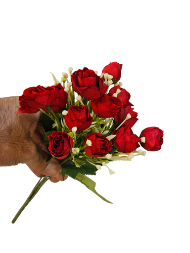 Mini Red Rose