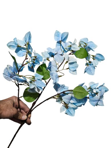 گوڵی جەهەنەمی شین