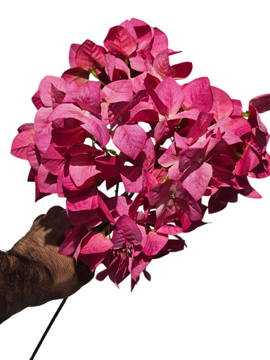 Ball Bougainvillea Wine Color