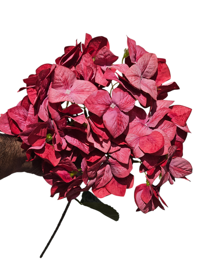 Ball Bougainvillea Red