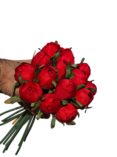 دەستە گوڵەباخی سوور