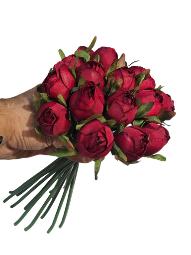 گوڵەباخی سور
