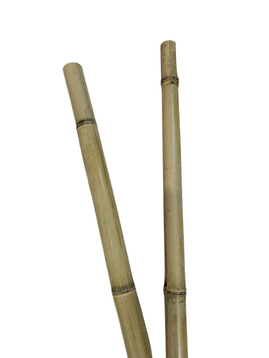 Bamboo Stick