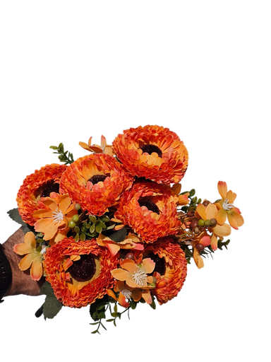 Orange Sunflower