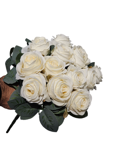 گوڵی سپی
