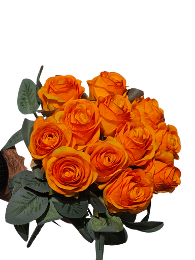 Orange Rose